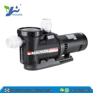 High efficiency pool pump inground swimming pool pumps motor